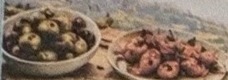 Tapas et antipasti de la carte papier de Tocino